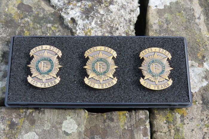 Irish Easter Rising, Irish Independence, Irish Civil War Commemoration badges (green set)