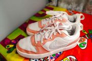Nike Court Borough Low 2 SE