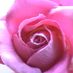 Pinky3