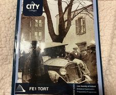 Fe1 Tort Manual 2023/2024