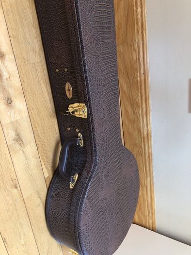 Barnes and mullins 6 string banjo