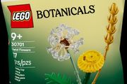 New LEGO Botanicals Field Flower