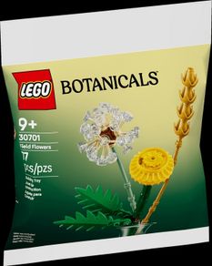 New LEGO Botanicals Field Flower
