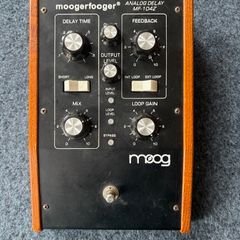 Moog Delay Pedal