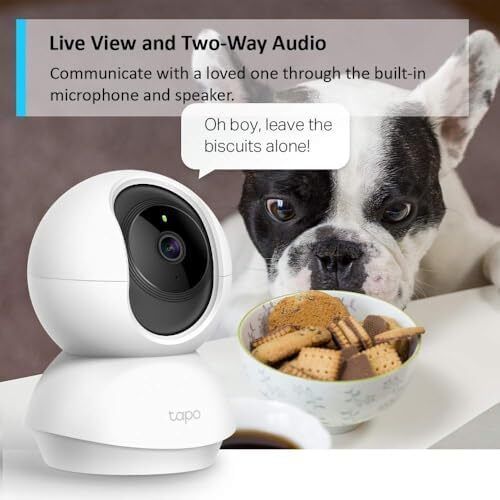 Tapo TC70 Indoor Security Camera 1080p HD 360 View Night Vision Works with Alexa and Google