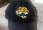 Jacksonville jaguars