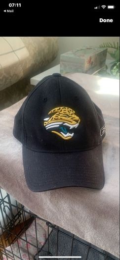 Jacksonville jaguars