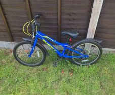 Child 20 Inch Bike