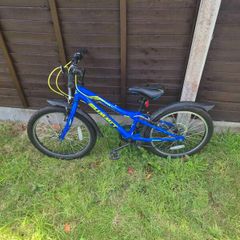 Child 20 Inch Bike