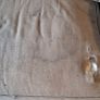 L Shaped Couch for Free Image 3
