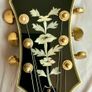 Epiphone Sheraton Pro II (2021) Image 8