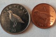 Gibraltar  1p-2p Barbary Partridge Bird