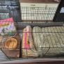 Rabbit / Guinea Pig Cage Image 4