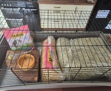 Rabbit / Guinea Pig Cage