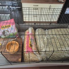 Rabbit / Guinea Pig Cage