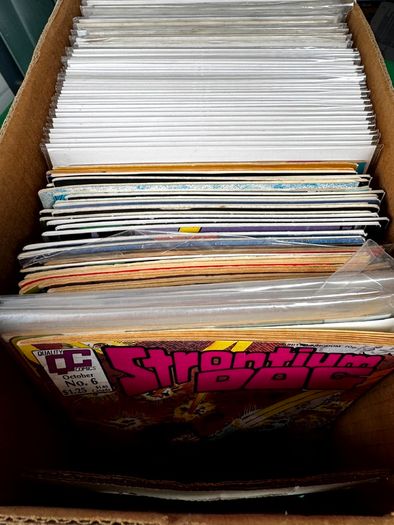 Indie Long Comic Box w 325 Comics for Sale