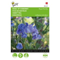 (S) Buzzy Sweet Pea seeds Royal Family Blue 5g (830726)