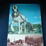 Horse Power by Marylian & Sanders Watney Image 4