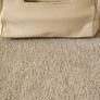 Demellier bag Image 3
