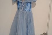 Halloween Cinderella dress