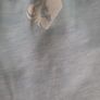 Womensbest Leggings Size S Image 2
