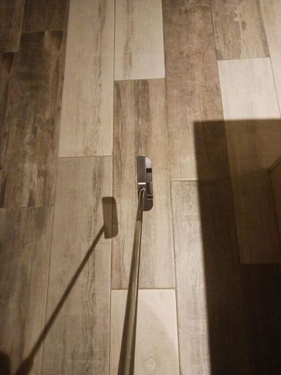 Seemore FGP Putter