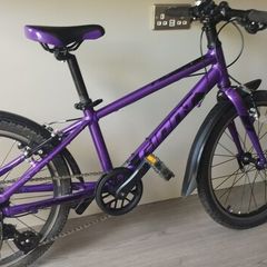 Giant arx 20 kids bike