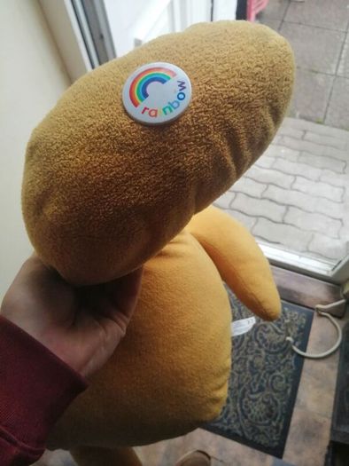 zippy teddy