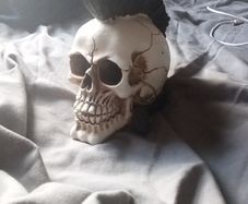 Ceramic skull
