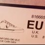 New Polo Ralph Lauren Shoes Image 3