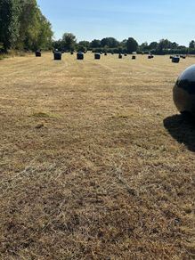 Haylage