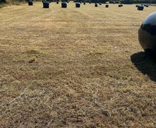 Haylage