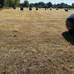 Haylage
