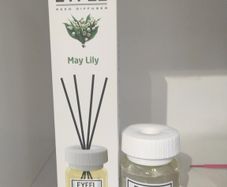 Eyfel diffuser
