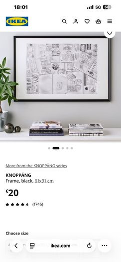 Black Ikea 61x90 frames