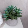 arificial plant with stone pot Image 5