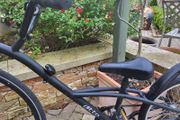 Price Drop:Tag along bike