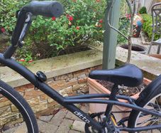 Tag along bike