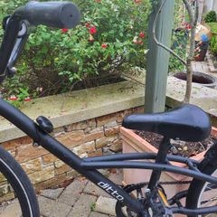 Tag along bike