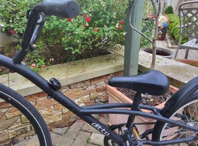 Tag along bike