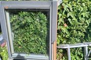 Vulex Window (skylight)