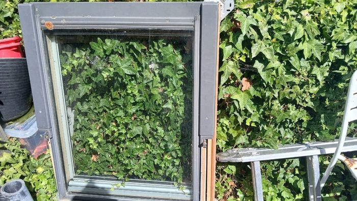 Vulex Window (skylight)