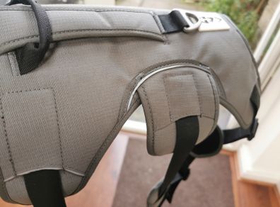 Dog Harness