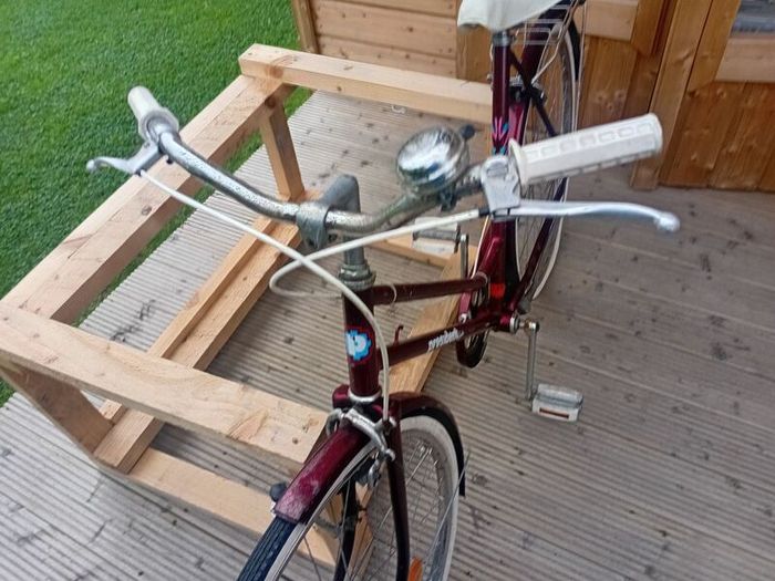 adults bike