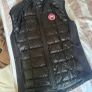 canada goose Image 2
