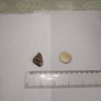 Banded flint Image 3