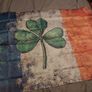 Katie Taylor 5x3 ft ireland flag for the fight Image 2