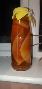 Kombucha SCOBY
