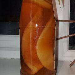 Kombucha SCOBY