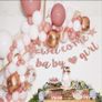 Gender Reveal Party Decoration Image 3